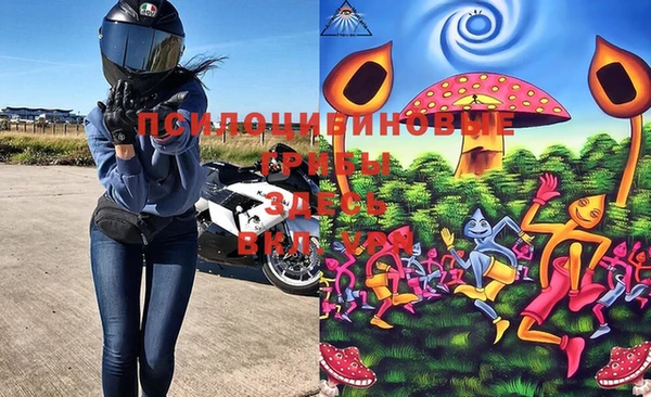 MDMA Premium VHQ Бородино