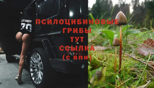 прущие крисы Бугульма
