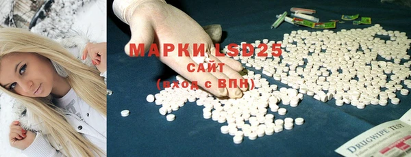винт Верея
