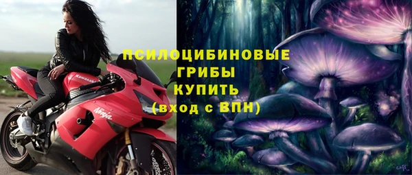 прущие крисы Бугульма