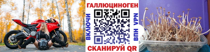 кракен рабочий сайт сколько стоит Новохопёрск Псилоцибиновые грибы GOLDEN TEACHER