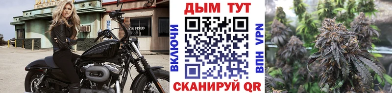 ссылка на мегу   купить  цена  Новохопёрск  Каннабис конопля 